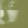 colorblind.gif (6002 oCg)