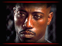 Make me a better serum