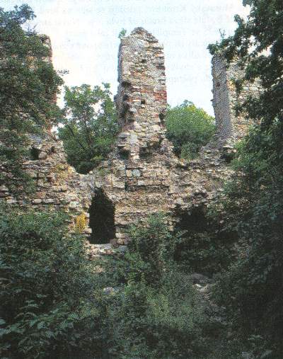 010.jpg (46524 bytes)