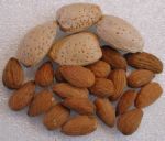 laalmendra