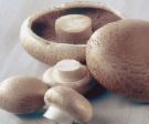 mushrooms