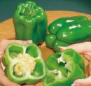 green peppers