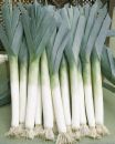 leeks