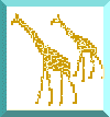 Giraffes
