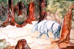 Rhino 
