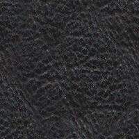 Leather-c.JPG (10024 bytes)