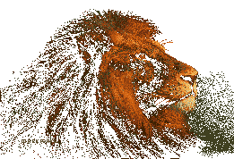 /user/lion--02.gif