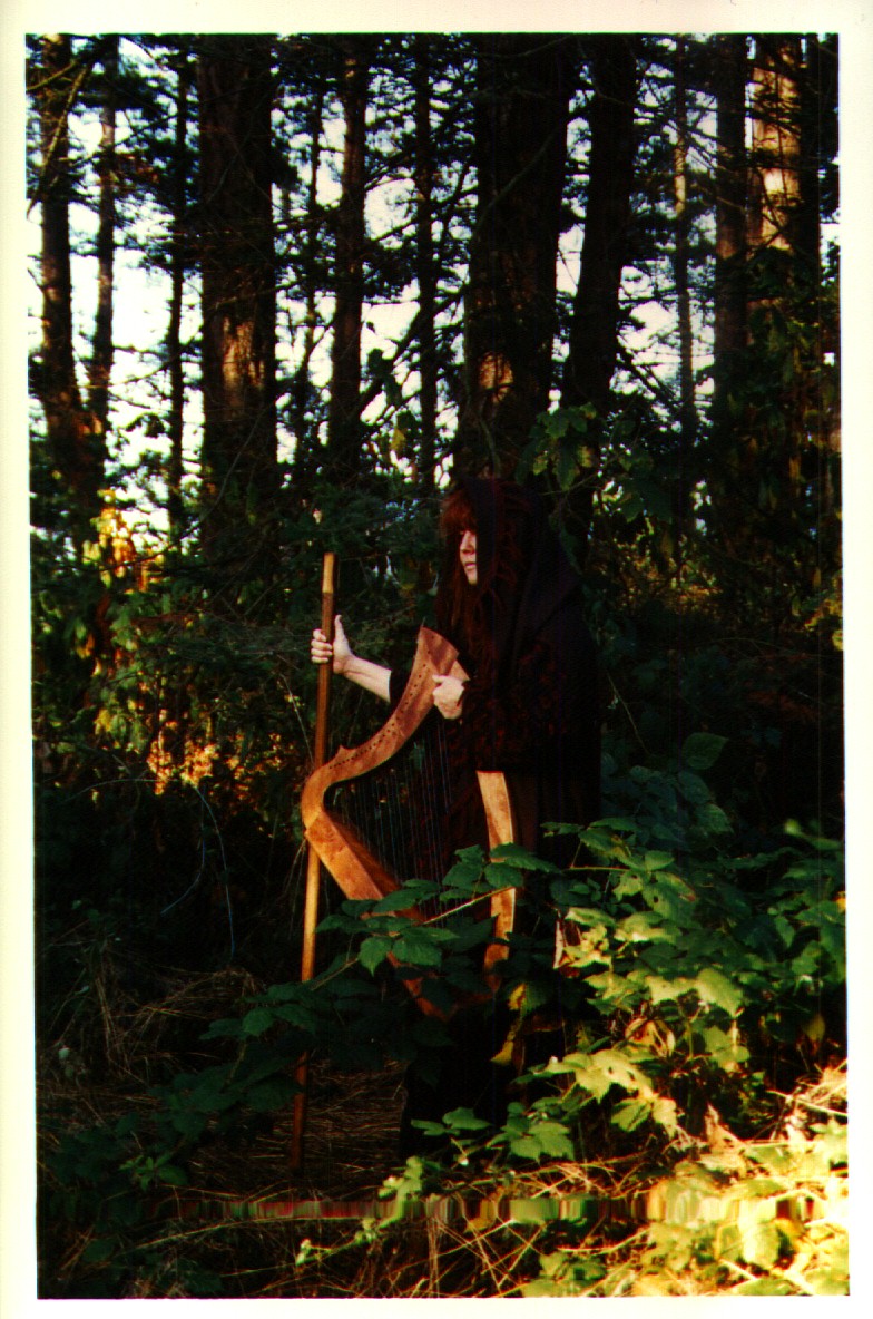 There comes a Pilgrim