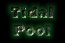 Tidal Pool