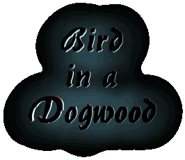 Bird in a Dogwood