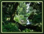 A Summer Landscape