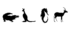 animals