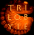 [TRILOBYTE]