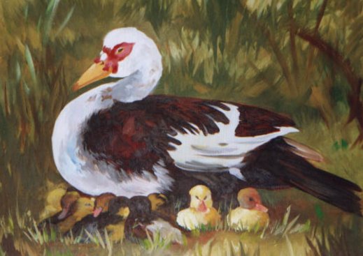 Instinto maternal