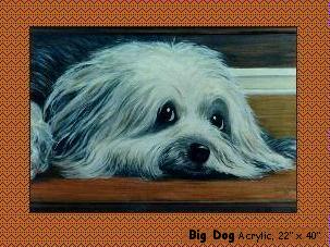 Big floppy sheep dog