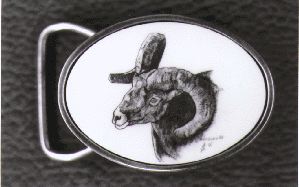 Antelope