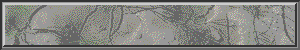 WB01686_.gif (4076 bytes)