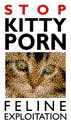kittyporn.jpg (5135 bytes)