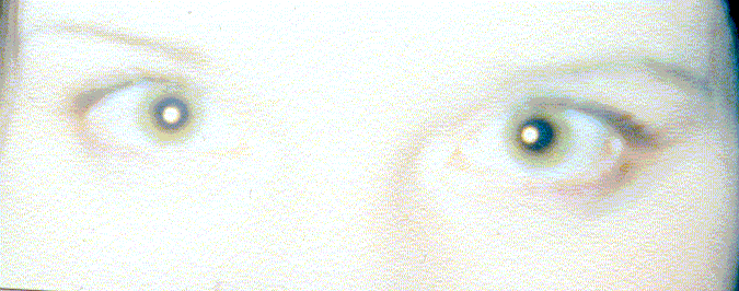 shaneyes.gif (61445 bytes)