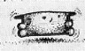 wastem.jpg (3341 bytes)