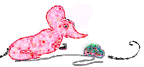 MOUSE