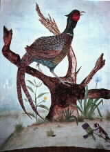 ���� ��� �������