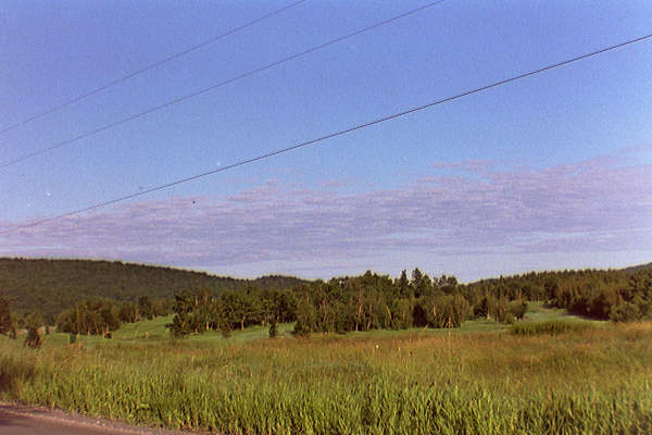 view near my house