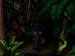 Jungle