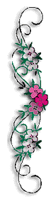 Image2.gif (7753 bytes)