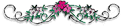 Image4.gif (3947 bytes)