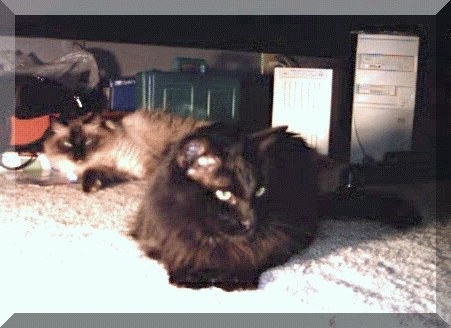 Colby and Prince Gabriel
