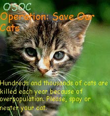 STOP THE ABUSE!