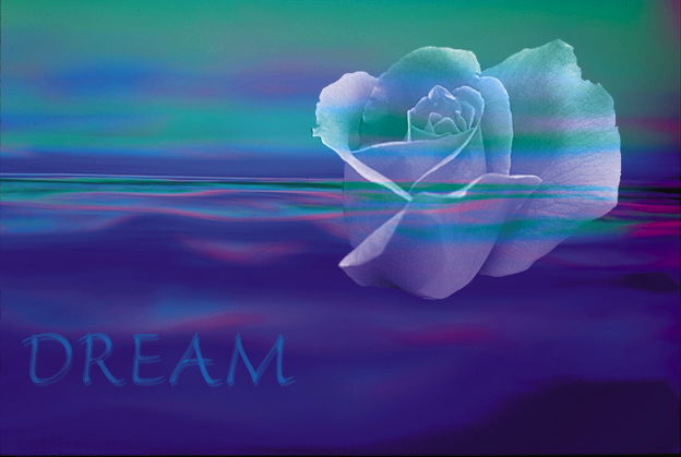 dream.jpg (26365 bytes)