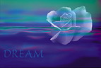 dreams.jpg (4570 bytes)