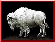 Buff.gif (13779 bytes)