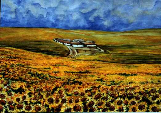 girasoli1.jpg (34908 byte)