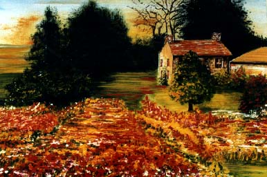 papaveri9.JPG (38080 byte)
