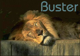 zzzzz....zzzzz....grrrrrrrrroarrrr......zzzzzzzz