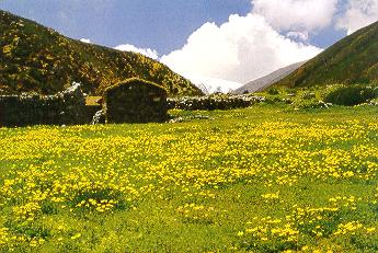 Valle Calchaqu�