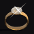 ring.gif (6511 bytes)