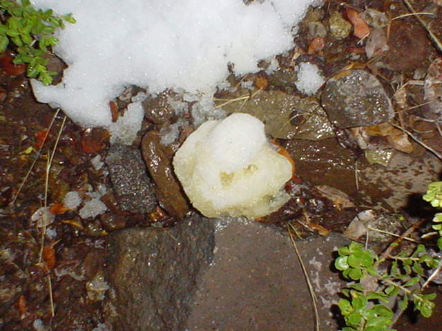 DSC03584.JPG