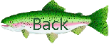 Back One Page