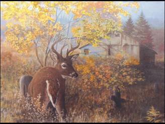 buck at autumn barn