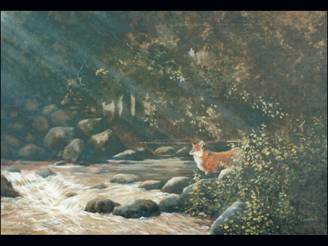 fox at river