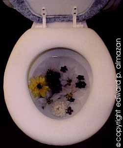 everybody knows somebody who...