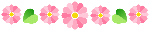 sd05.gif (1368 bytes)