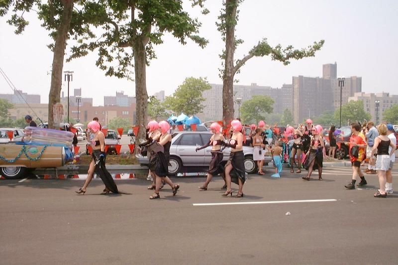 009PinkWigs