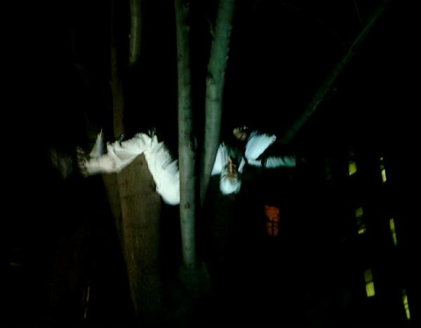 tonya in tree 2
