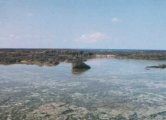 Tide pool
