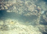 An underwater shot